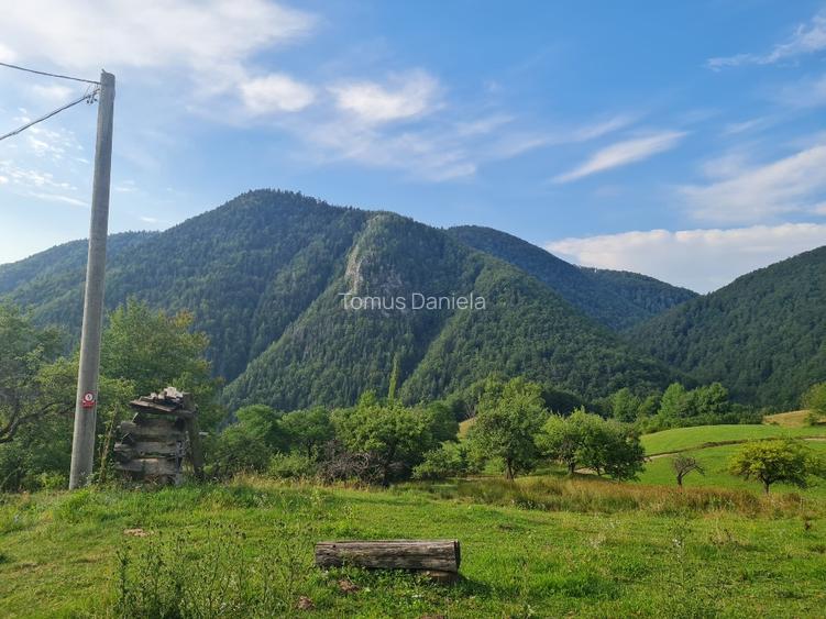 Teren de vânzare cu casă în Apuseni - 3