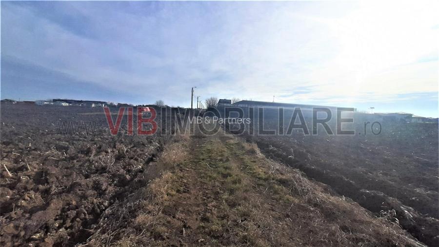 Otopeni - Strada Alexandru Ioan Cuza - 4