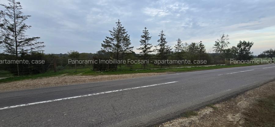 LIVADA  DE VANZARE FOCSANI-DUMBRAVITA  1,8  HA - 27
