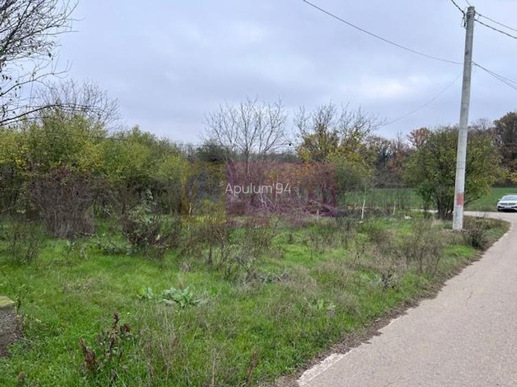 Teren Comana- strada Funieru. - 3