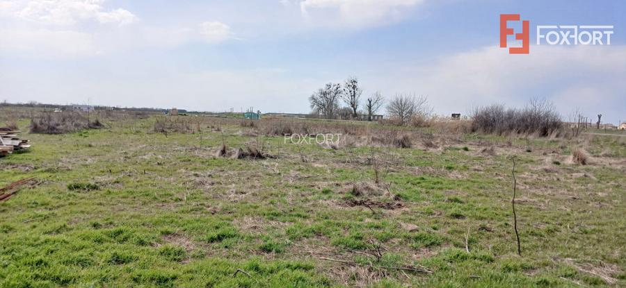 Parcela de teren de 798 mp pentru casa in Peciu Nou - 3