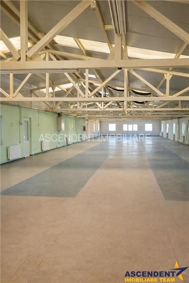 Hala multifunctionala de vanzare, Prejmer, Brasov - 2