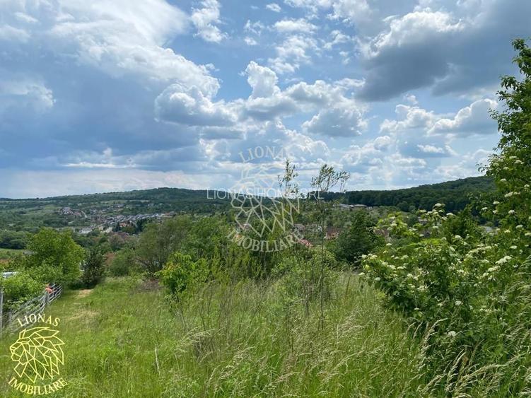 Teren intravilan 2800 mp cu utilitati-ideal case-Valea Ghinzii - 7