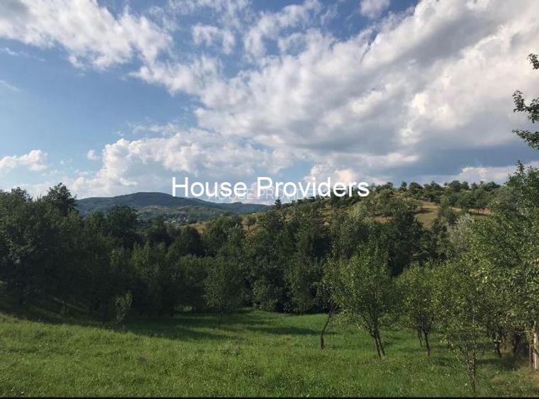 Vanzare Terenur Drajna  Prahova - 3