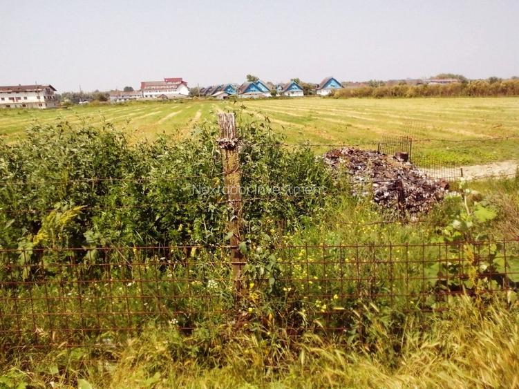 Teren de vanzare Murighiol - Uzlina | 5000 mp - 2