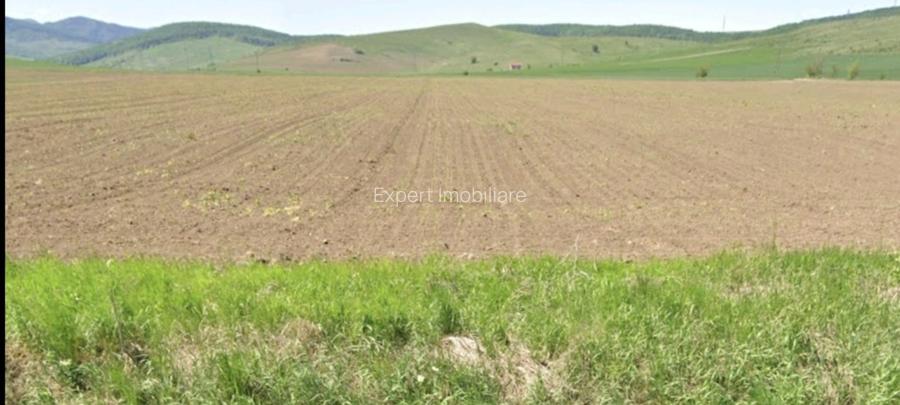 Teren Calea Romanului - 2