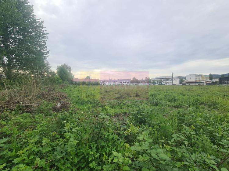 Teren intravilan de vanzare in Campina - 7