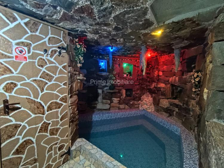 Cabana de vis, 7 camere, 320mp zona Strungari - 3