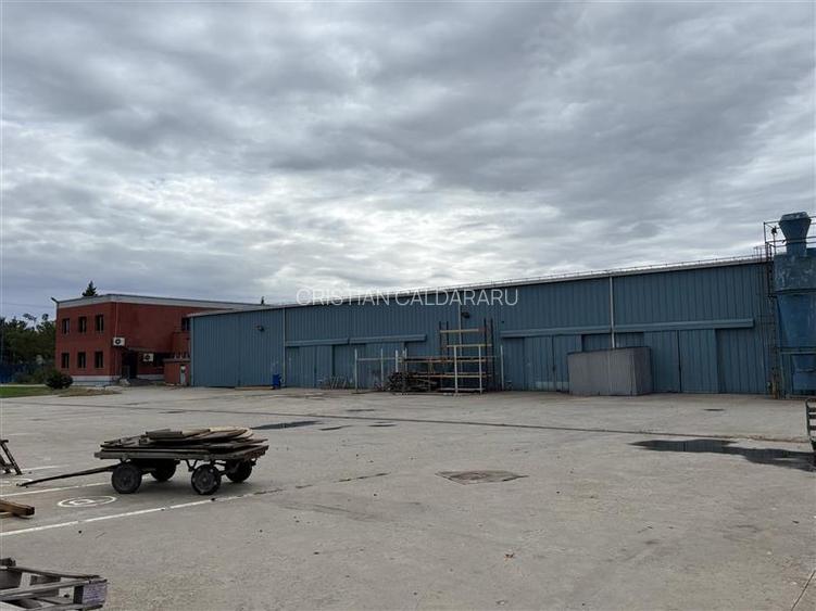 Vanzare depozit/hala/spatiu industrial Magurele - Atomistilor - 5