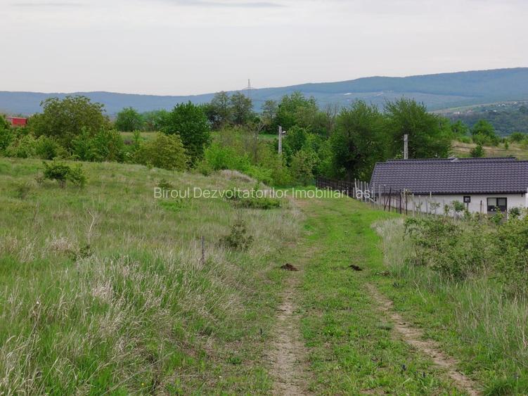 Teren intravilan 1800 mp, Centura-Ciurbesti-dubla deschidere - 3