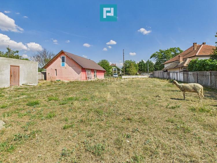 Casă/spațiu comercial pe DN79 în Zimandu Nou - 12