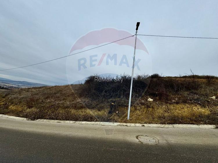 Teren Dezmir 2900 mp de vânzare, strada Trandafirilor, 0% Comision - 3