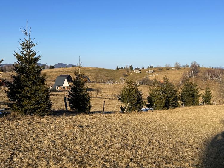 Teren satul Sirnea, intravilan, deschidere 120 m la drum asfaltat,  - 8