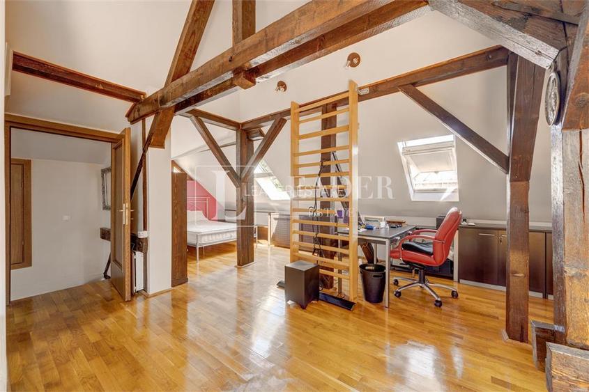 Vanzare vila consolidata si renovata | Parcul Circului - 23