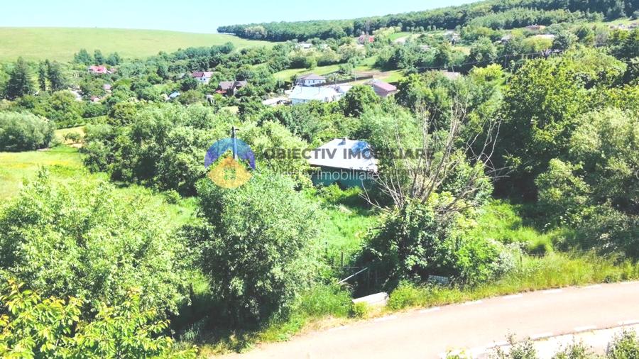 TEREN intravilan + casa  DOBRENI - SARATA - 3