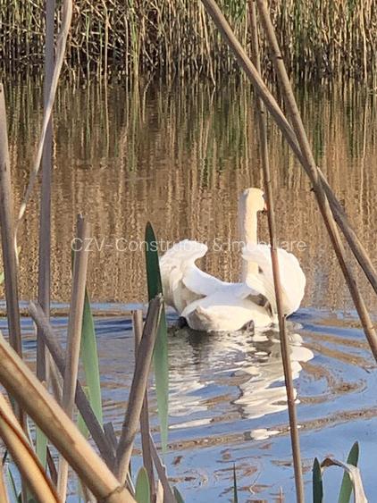 Teren 2000 mp de vânzare – Comana, deschidere la lac, aproape de Parcul Natural - 4