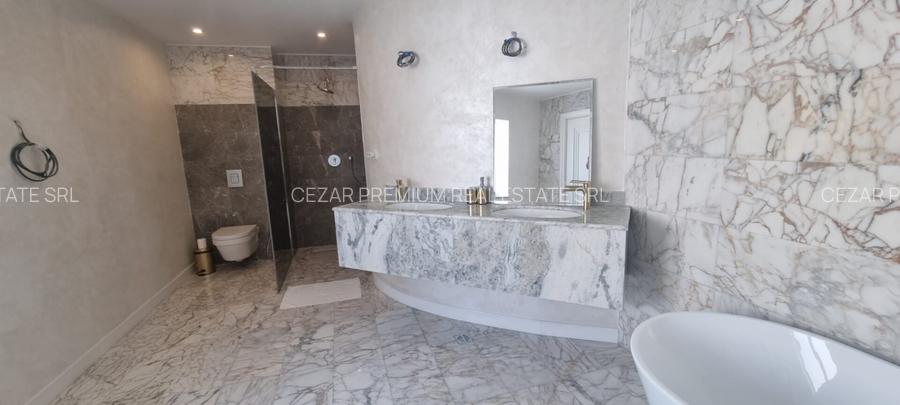 PIPERA IANCU NICOLAE VILA LUX RENOVATA COMPLET 2022 - 46