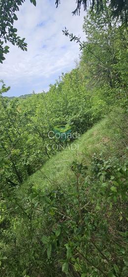 Teren Breaza  800mp pe colina priveliste superba - 13