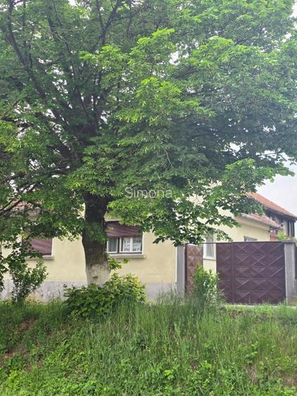 Aproape de Marginimea Sibiului, casa in inima unui parc - 2