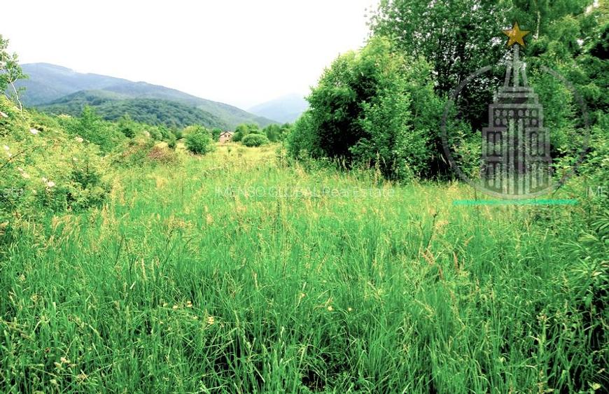 Teren extravilan  potențial turistic ridicat – Dejani, Recea, Munții Făgăraș - 7