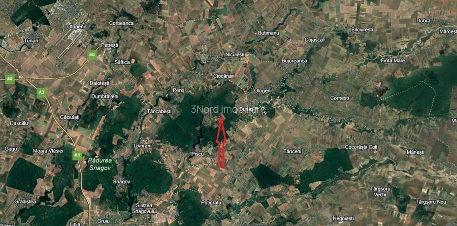 Balteni-Scrovistea, teren intravilan 17.714 mp, lângă pădure - 6