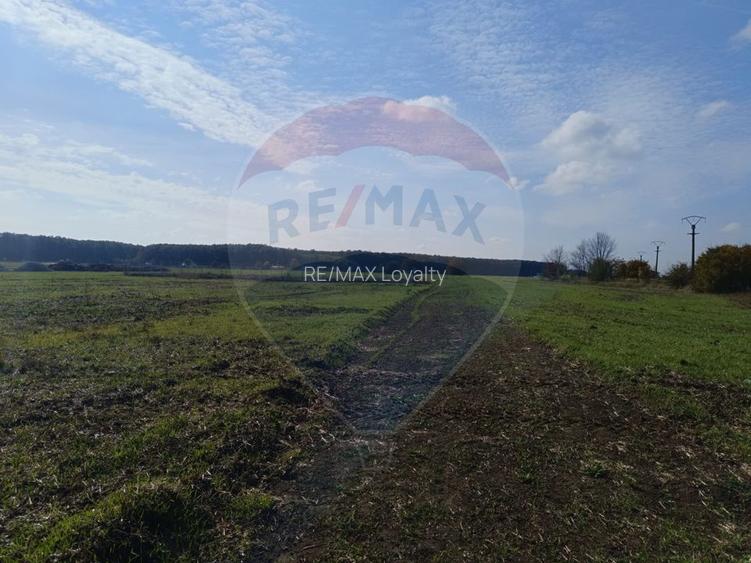 Teren 800mp Ghermanesti / Soseaua Ghermanesti - 6