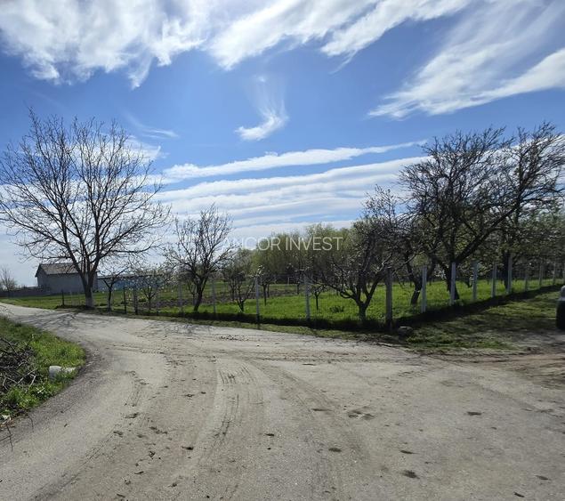 TEREN INTRAVILAN -1300 mp CURTISOARA - 8