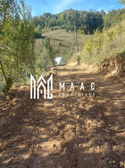 Super ofertă 35000 teren in Muntii Apuseni - 6