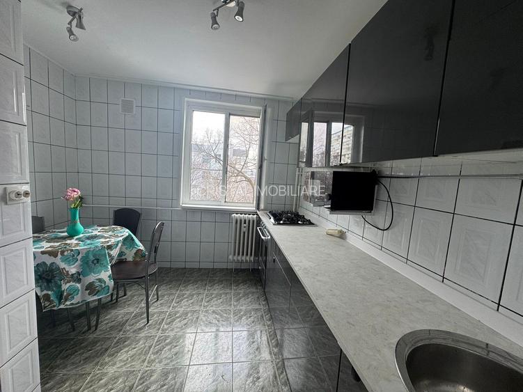 Apartament 3 camere de inchiriat, loc de parcare, Raul Doamnei- Pet Friendly - 5