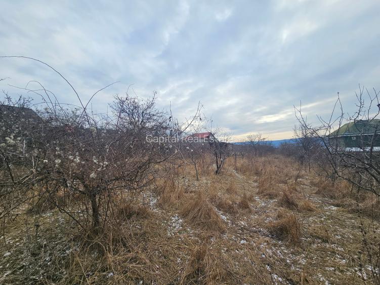 Teren situat in zona Bucium- Pietrarie - 2