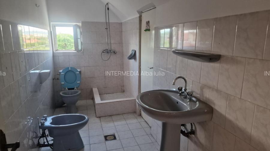 INCHIRIERE Casa individuala D + P + E + M cu 8 Camere 5 Bai 750 mp Teren CETATE - 15