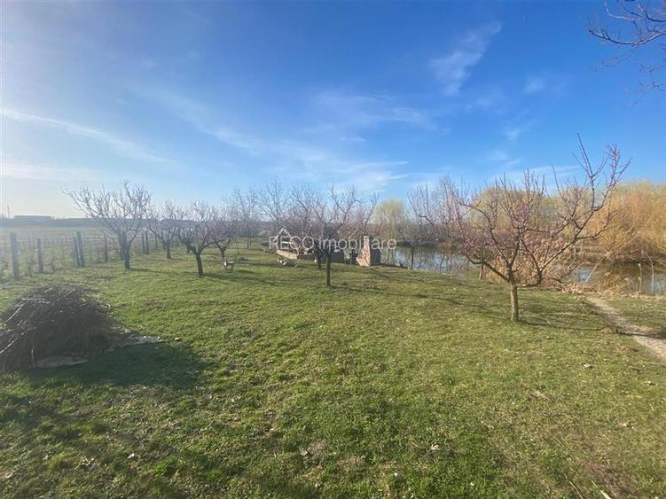 RECO casa de vacanta  Episcopia - 6