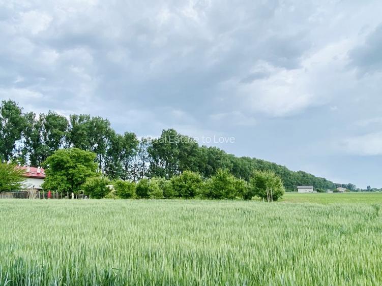 Teren rezidential langa lac Snagov in Silistea Snagovului iesire A3 - 6