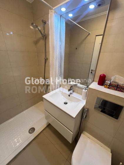 Studio Blv Decebal -Bloc Mixt-Acces Stradal -Vedere Blv -Renovat-mobilat-Utilat - 12