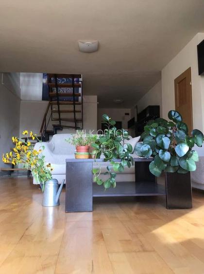 Apartament 4 camere de inchiriat Manastur zona Campului - 8