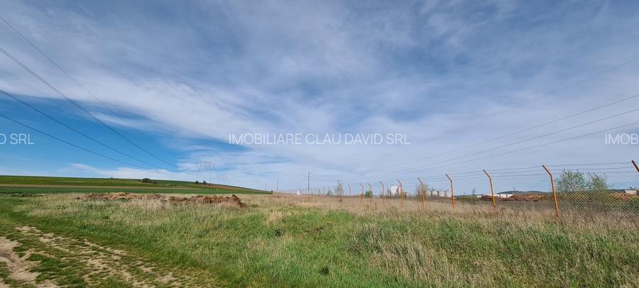 TEREN EXTRAVILAN LANGA FABRICA DE CHERESTEA Holzindustrie Schweighofer - RECI - 10