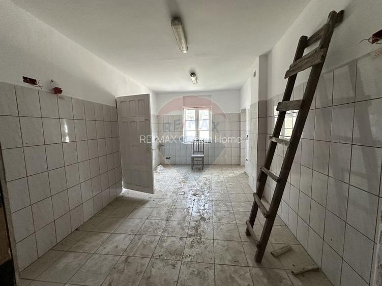 Monument Istoric Teatru langa Liceul Cuza - 12