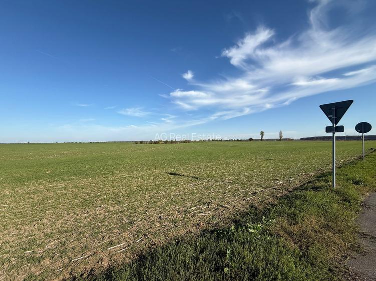 Teren Intravilan Branesti 4500mp Acces Asfalt si A2-deschidere 22ml - 5