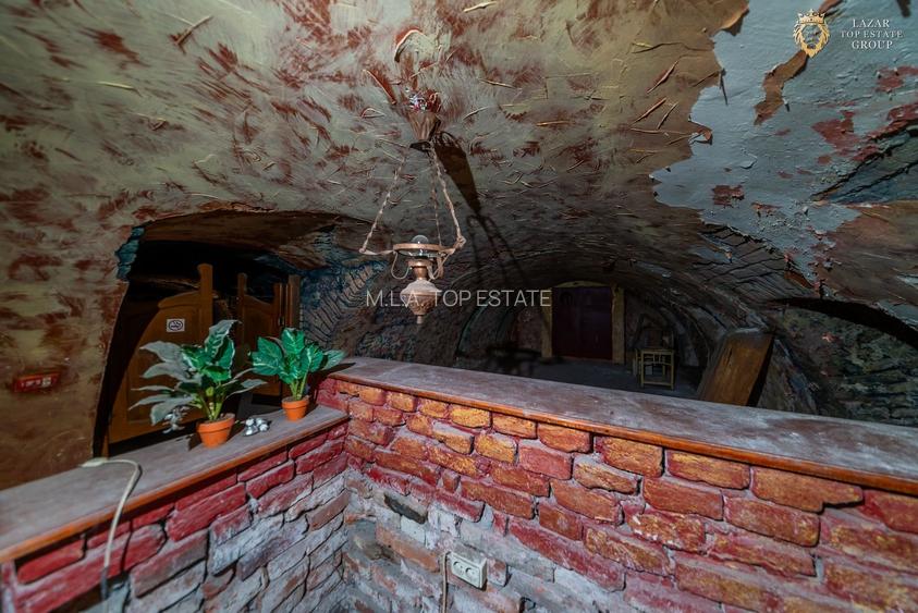 Proprietate speciala cu potential in inima Aradului - 27