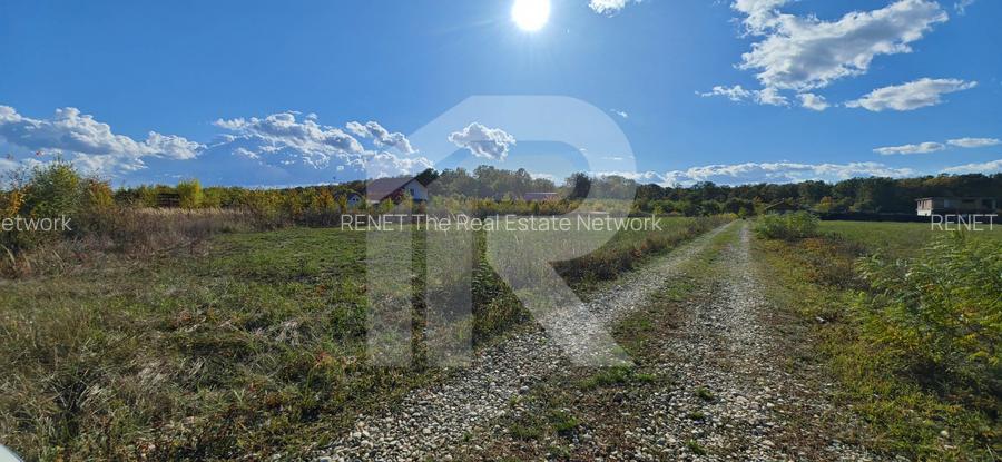 Refugiu la marginea padurii — 2822 mp de liniste in Cocani. - 10