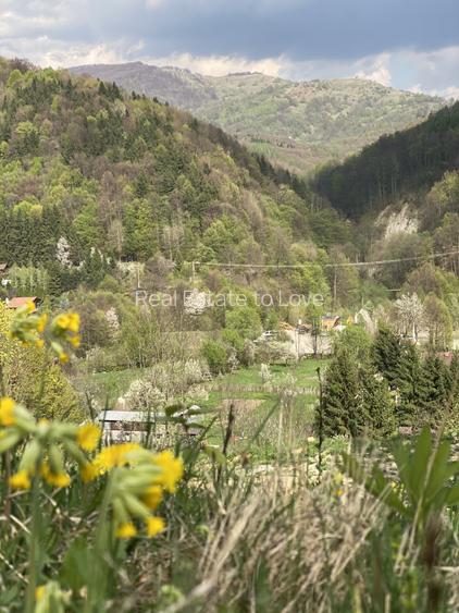 Teren vedere panoramică lac Paltinu si dealuri împădurite in Valea Doftanei - 5