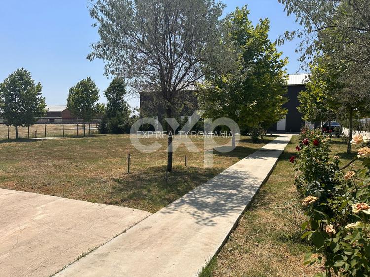 Ferma cu abator autorizat | Singureni Giurgiu - 8