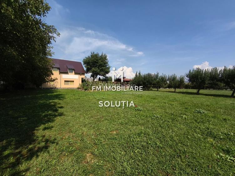 Complex industrial  cu teren 18,672 mp Târgu Lăpuș - 29