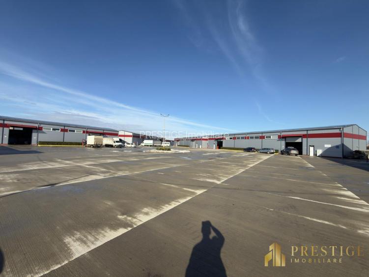 Hale Industriale noi de inchiriat in Parc Industrial pe Calea Borsului - 7