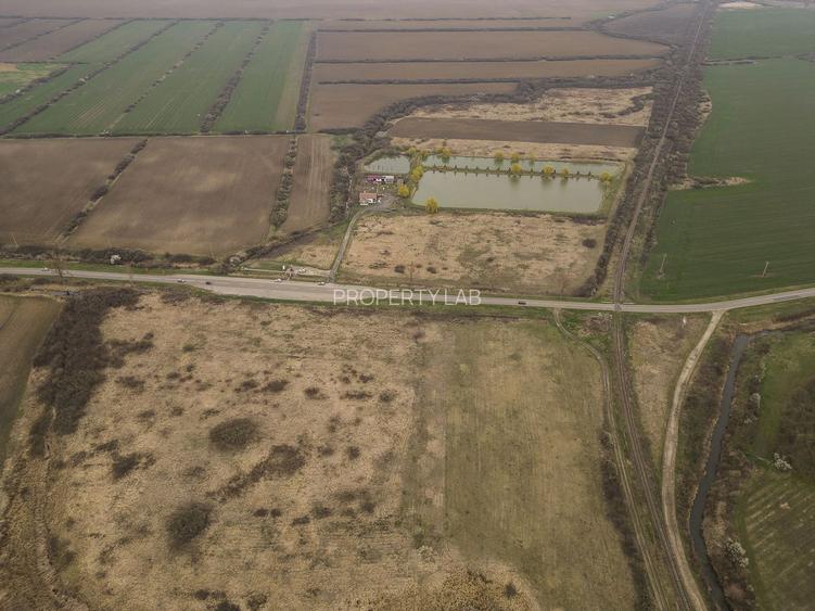 Teren extravilan in Ineu - 15