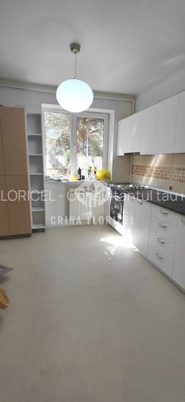 Inchiriere duplex cu gradina 60 mp - renovat - prima inchiriere - Herastrau - 16