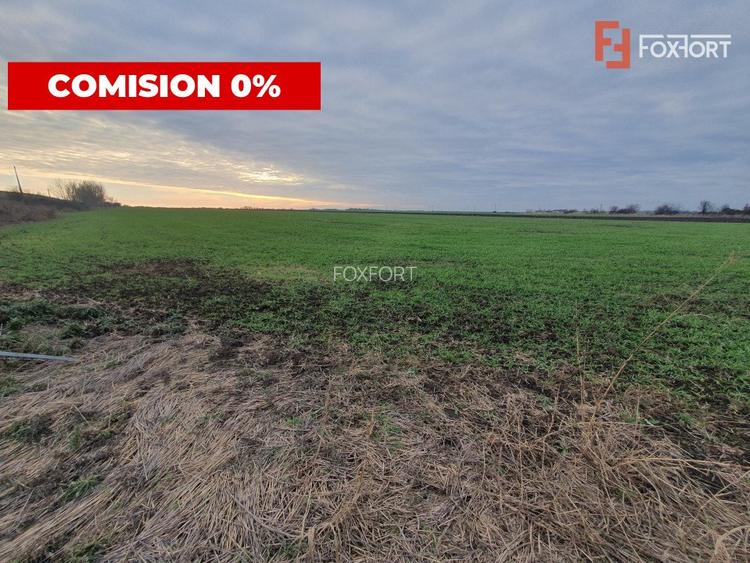 Comision 0% Teren extravilan agricol 21,32 ha sau intravilan cu PUZ aprobat - 12