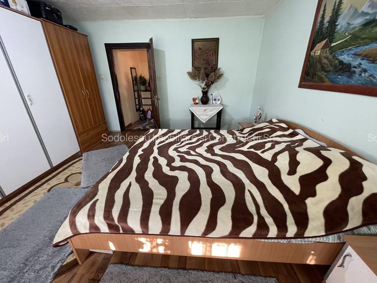 Casa de vanzare in Remetea Mare - 19