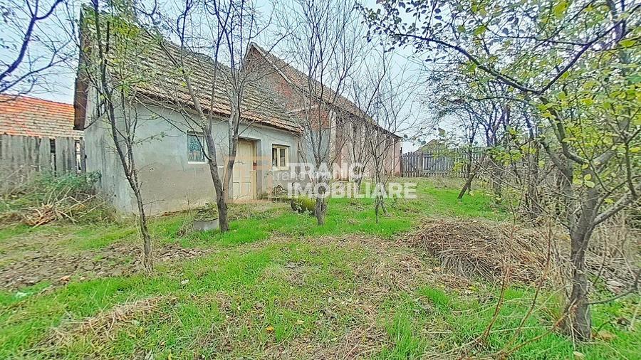 Casă cu potențial, teren generos de 1.440 mp – Secusigiu, Arad - 2