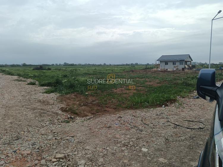 Teren de vanzare, Frumusani, Ilfov, ideal investitie, DNCB - 8